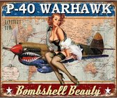 Warhawk pin-up wandbord - 31,5 x 40,5 cm vlak