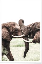 JUNIQE - Poster Elephants at Play -20x30 /Bruin