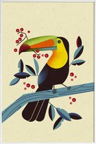 JUNIQE - Poster in kunststof lijst Toucan II -30x45 /Kleurrijk