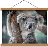 Schoolplaat – Koala Hangend aan Boom - 40x30cm Foto op Textielposter (Wanddecoratie op Schoolplaat)