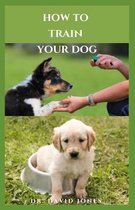 How to Train Your Dog