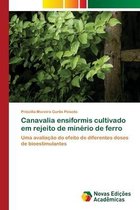 Canavalia ensiformis cultivado em rejeito de minério de ferro