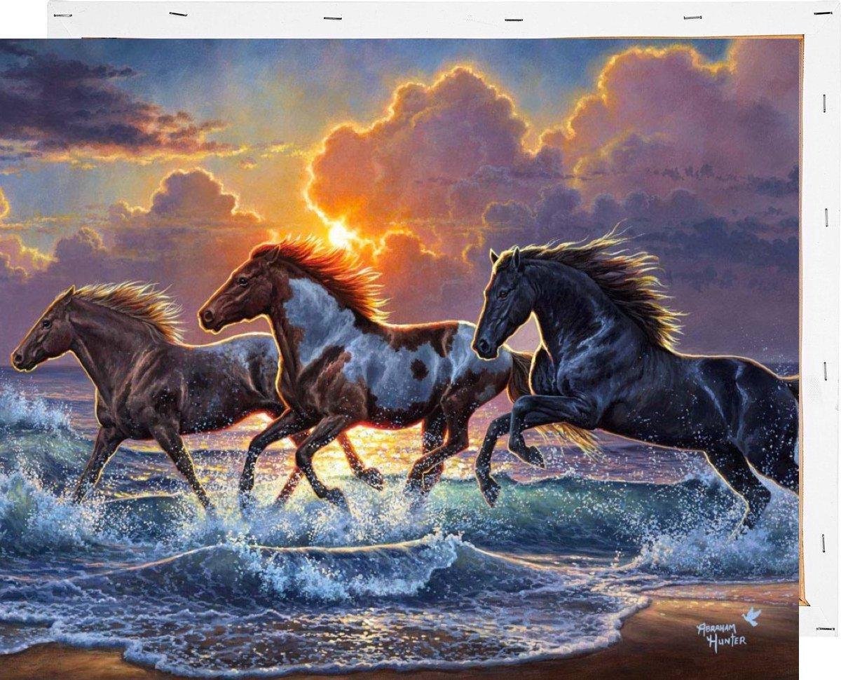 Schilderen Op Nummer Met Frame