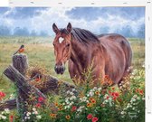 Schilderen op Nummer Paarden 40x50 met Frame Volwassenen Kinderen - Kleuren op Nummer - Paint by Number - Hobbypainting.nl®