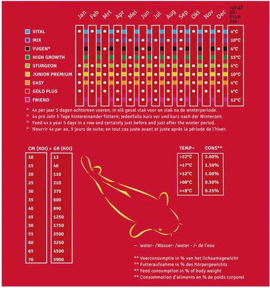 Ami Takazumi - 10 KG