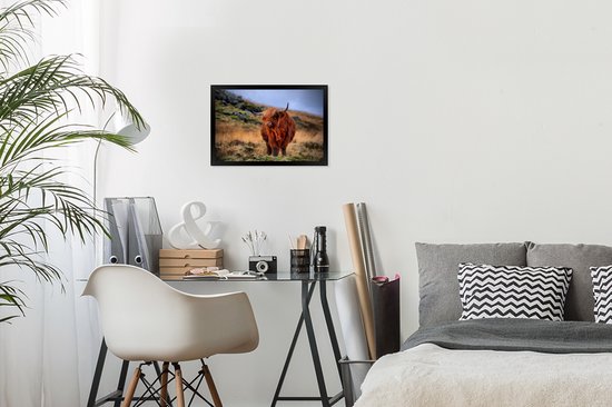 Cadre photo Highlander écossais sur colline noir sans passe partout