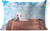 Buitenkussens - Tuin - Maltezer hond in een houten doos - 60x40 cm