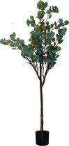 Eucalyptus Kunstboom - 160cm hoog | Eucalyptus Kunstboom Groen | Eucalyptus Kunstboom voor Binnen