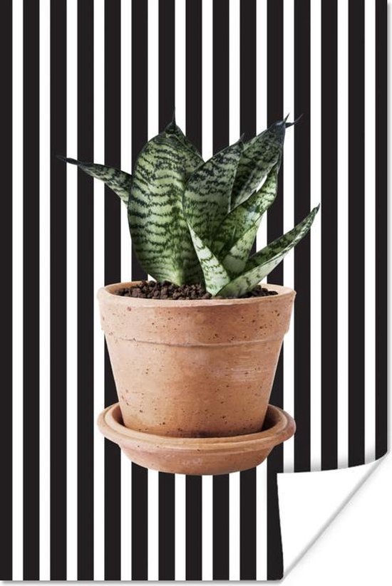 Plant met gestreepte bladeren voor een gestreepte achtergrond 120x180 cm XXL / Groot formaat! - Foto print op Poster (wanddecoratie woonkamer / slaapkamer)