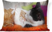Sierkussen' intérieur Animal Day - Chats câlins - 60x40 cm - Coussin intérieur rectangulaire en coton