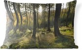 Buitenkussens - Tuin - Een bosrijke omgeving op zonnige dag - 50x30 cm