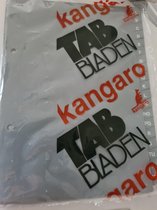 Kangaro Tabbladen A5 Grijs 20 tabs 2-gaats polypropyleen a - z