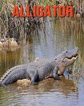 Alligator