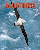 Albatross