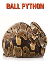 Ball Python