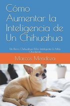 Cómo Aumentar la Inteligencia de Un Chihuahua