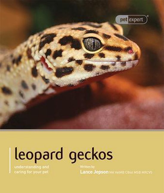 Leopard Gecko - cover