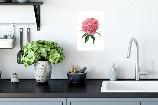 Affiche Fleurs - Pivoine - Rose - 20x30 cm