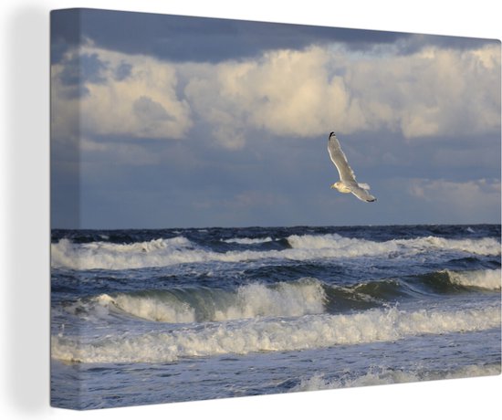 Seagull over the Baltic Sea canvas 120x80 cm - Tirage photo sur toile (Décoration murale salon / chambre) / Mer et plage