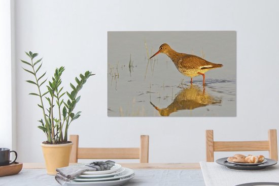 Tureluur in het ondiepe water Canvas 60x40 cm - Foto print op Canvas schilderij (Wanddecoratie woonkamer / slaapkamer)