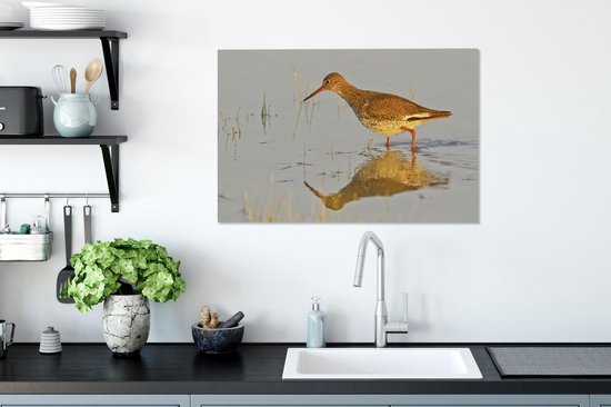 Tureluur in het ondiepe water Canvas 60x40 cm - Foto print op Canvas schilderij (Wanddecoratie woonkamer / slaapkamer)