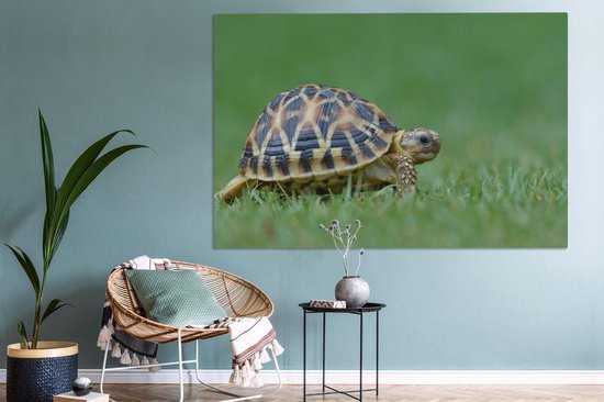 Canvas schilderij 180x120 cm - Wanddecoratie Schildpad op gras - Muurdecoratie woonkamer - Slaapkamer decoratie - Kamer accessoires - Schilderijen