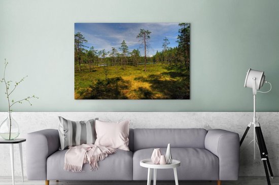 Grands arbres sur la bruyère dans le parc national de Skuleskogen en Suède Toile 120x80 cm - Tirage photo sur toile (Décoration murale salon / chambre)