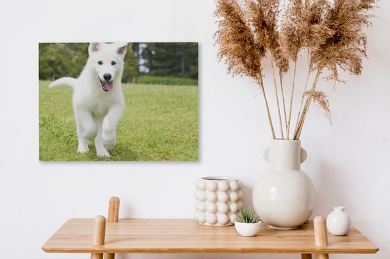 Canvas Schilderij De puppy van een witte Duitse herder - 40x30 cm - Wanddecoratie