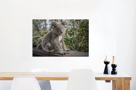 Peintures sur toile - Un koala assis sur une étagère - 90x60 cm - Décoration murale