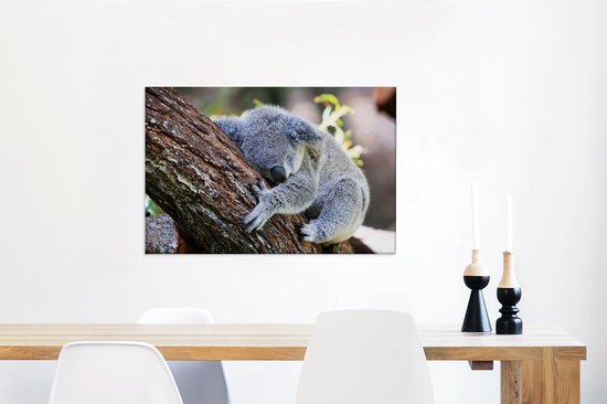 Peintures sur Toile Koala - Arbre - Endormi - 90x60 cm - Décoration murale