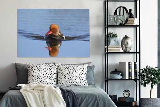 Un canard à crête rouge nage dans une toile de lac bleu 140x90 cm - Tirage photo sur toile (Décoration murale salon / chambre)