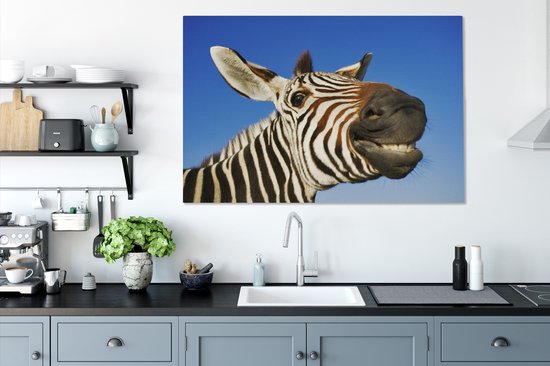 Une drôle de toile de zèbre grimaçant 140x90 cm - Tirage photo sur toile (Décoration murale salon / chambre)