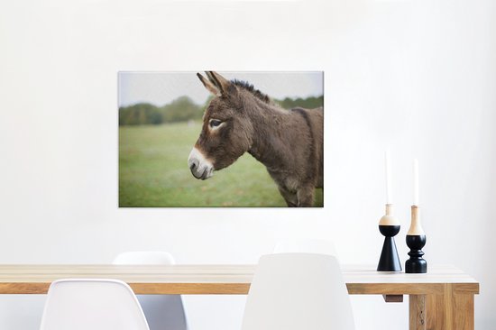 Gros plan âne nain 60x40 cm - Tirage photo sur toile (Décoration murale salon / chambre) / Peintures sur toile animaux sauvages