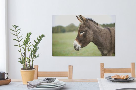 Gros plan âne nain 60x40 cm - Tirage photo sur toile (Décoration murale salon / chambre) / Peintures sur toile animaux sauvages