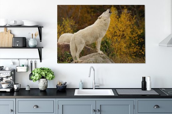 Loup hurlant à Toronto 120x80 cm - Tirage photo sur toile (Décoration murale salon / chambre) / Peintures sur toile animaux sauvages