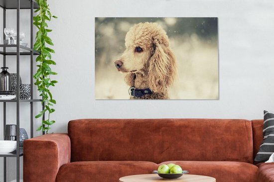Caniche Witte dans la neige 140x90 cm - Tirage photo sur toile (Décoration murale salon / chambre) / Peintures sur toile pour Animaux domestiques