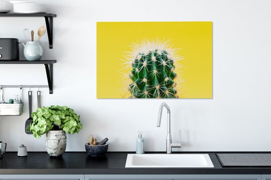 Cactus sur toile jaune 2cm