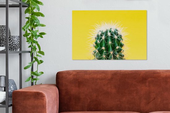 Cactus sur toile jaune 2cm