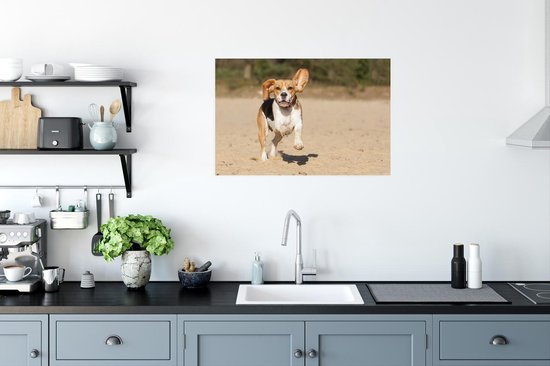 Poster Beagle se promène dans le sable 60x40 cm - Tirage photo sur Poster (décoration murale salon / chambre) / Poster Animaux domestiques