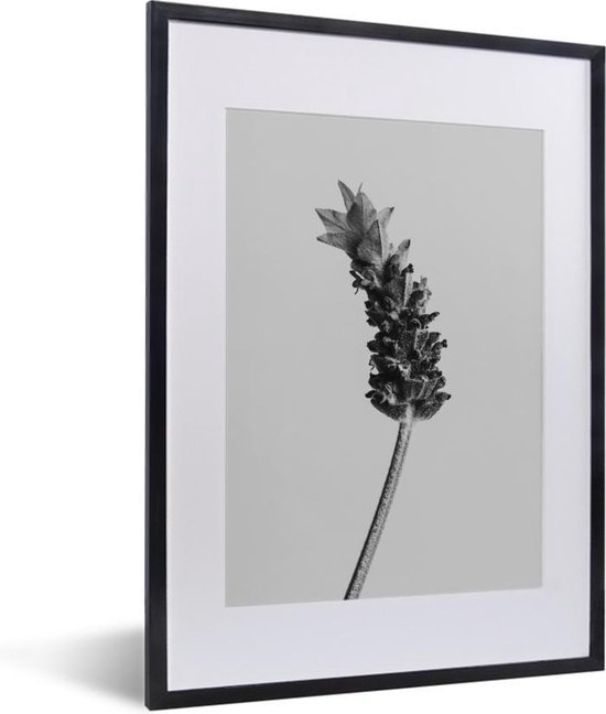 Fotolijst incl. Poster - Abstracte lavendel in zwart-wit - 30x40 cm - Posterlijst