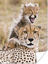 Guépard et ses bébés guépards 30x40 cm - petit