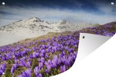 Tuinposter - Tuindoek - Tuinposters buiten - Bergen - Sneeuw - Bloemenweide - 120x80 cm - Tuin