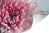 Muurdecoratie Scherp beeld van een dahlia - 180x120 cm - Tuinposter - Tuindoek - Buitenposter