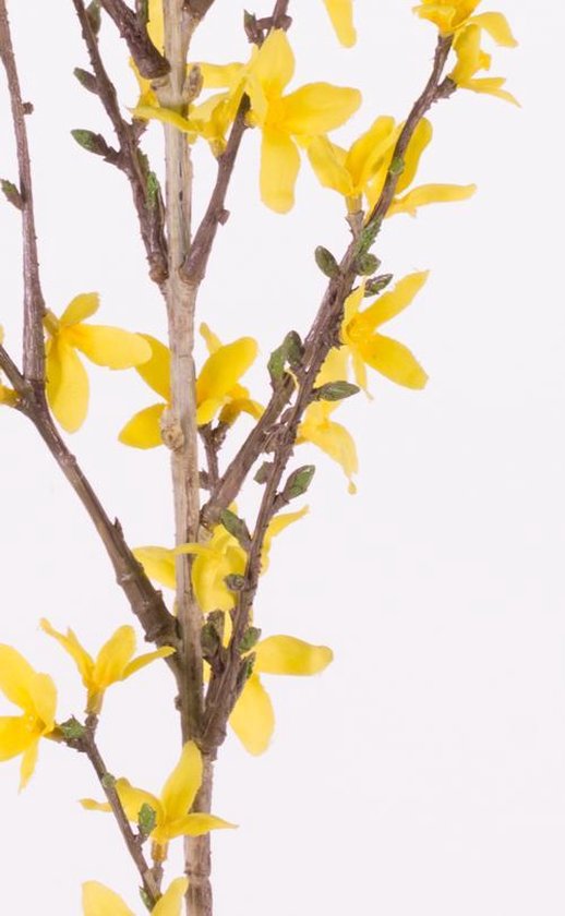 Kunstmatige Forsythia struiken, zijde Forsythia bloemen met 5 stengels, Faux Forsythia takken met bladeren voor bruiloft, kantoor decoratie