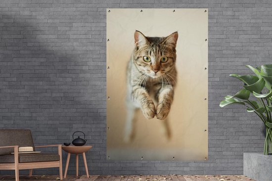 Décoration murale Chat sautant dans les airs - 120x180 cm - Affiche jardin