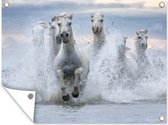 Tuinschilderij Kudde witte paarden galoppeert door het water in Camargue - 80x60 cm - Tuinposter - Tuindoek - Buitenposter