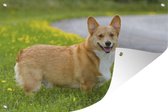 Corgi parmi les fleurs affiche de jardin toile en vrac 90x60 cm - Toile de jardin / Toile d'extérieur / Peintures pour l'extérieur (décoration de jardin)