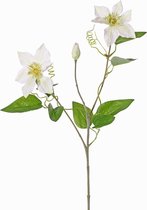 Fabulous Flowers - 3,0 sts zijden clematis wit 76 cm