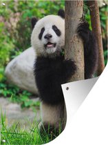 Tuinposter - Tuindoek - Tuinposters buiten - Jonge panda wil in een boom klimmen - 90x120 cm - Tuin