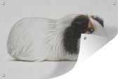 Tuindecoratie Een illustratie van een cavia met donkere vlekken - 60x40 cm - Tuinposter - Tuindoek - Buitenposter